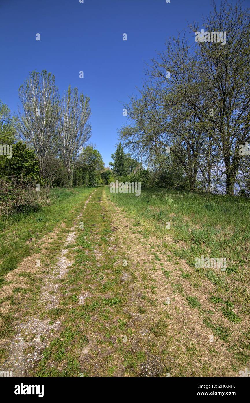 Schotterweg am Ufer eines Sees Stockfoto