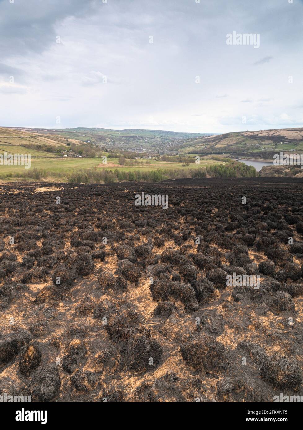 Marsden Golf Club von Bobus / Butterley Moorland Wildfire site Zwischen Butterley Clough und Carr Clough Stockfoto