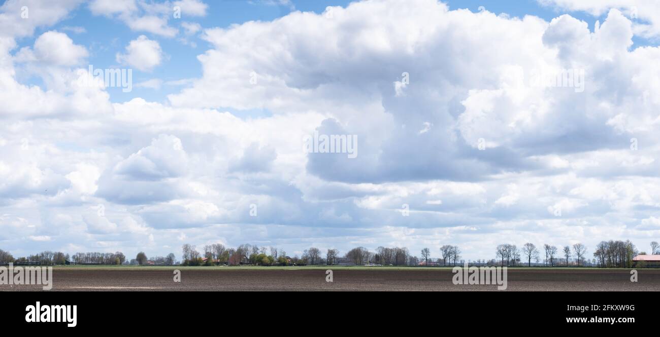 Typisch holländische flache Landschaft mit einem gepflügten Feld, einer Reihe von Bäumen am Horizont und einem blauen Himmel mit schönen Wolken im Frühling. Breitbild Stockfoto
