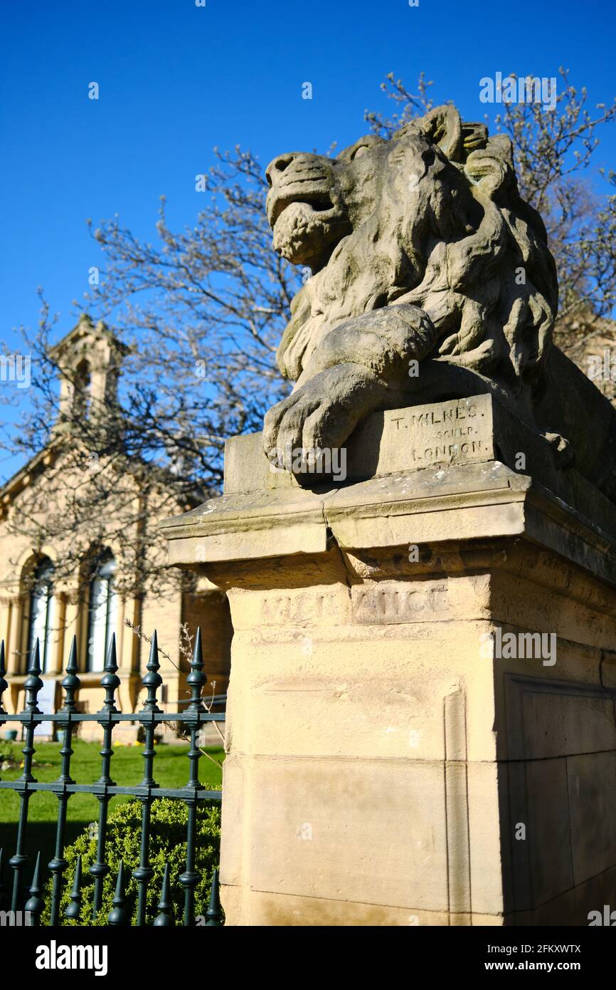 Es wurde von einem der vier Saltaire-Löwen auf dem Victoria Square gemunkelt Für den Trafalgar Square in London bestimmt, aber als gedacht Zu klein und von Titus Salt gekauft Stockfoto