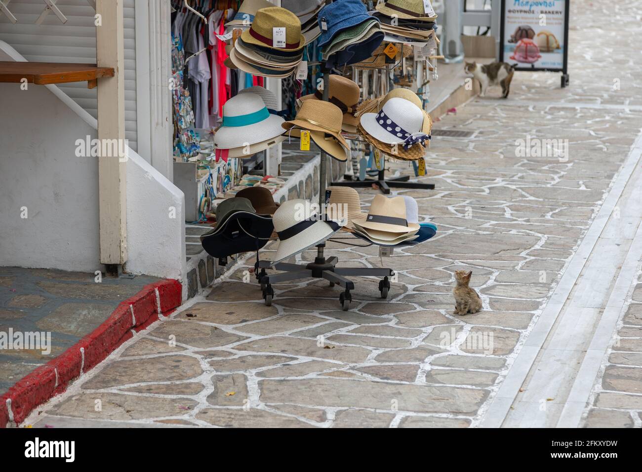 Antiparos, Kykladen, Griechenland - 28. September 2020: Ein winziges Kätzchen sitzt auf dem Bürgersteig unter der Hutanzeige, die Straße von Antiparos auf der Insel. Stockfoto