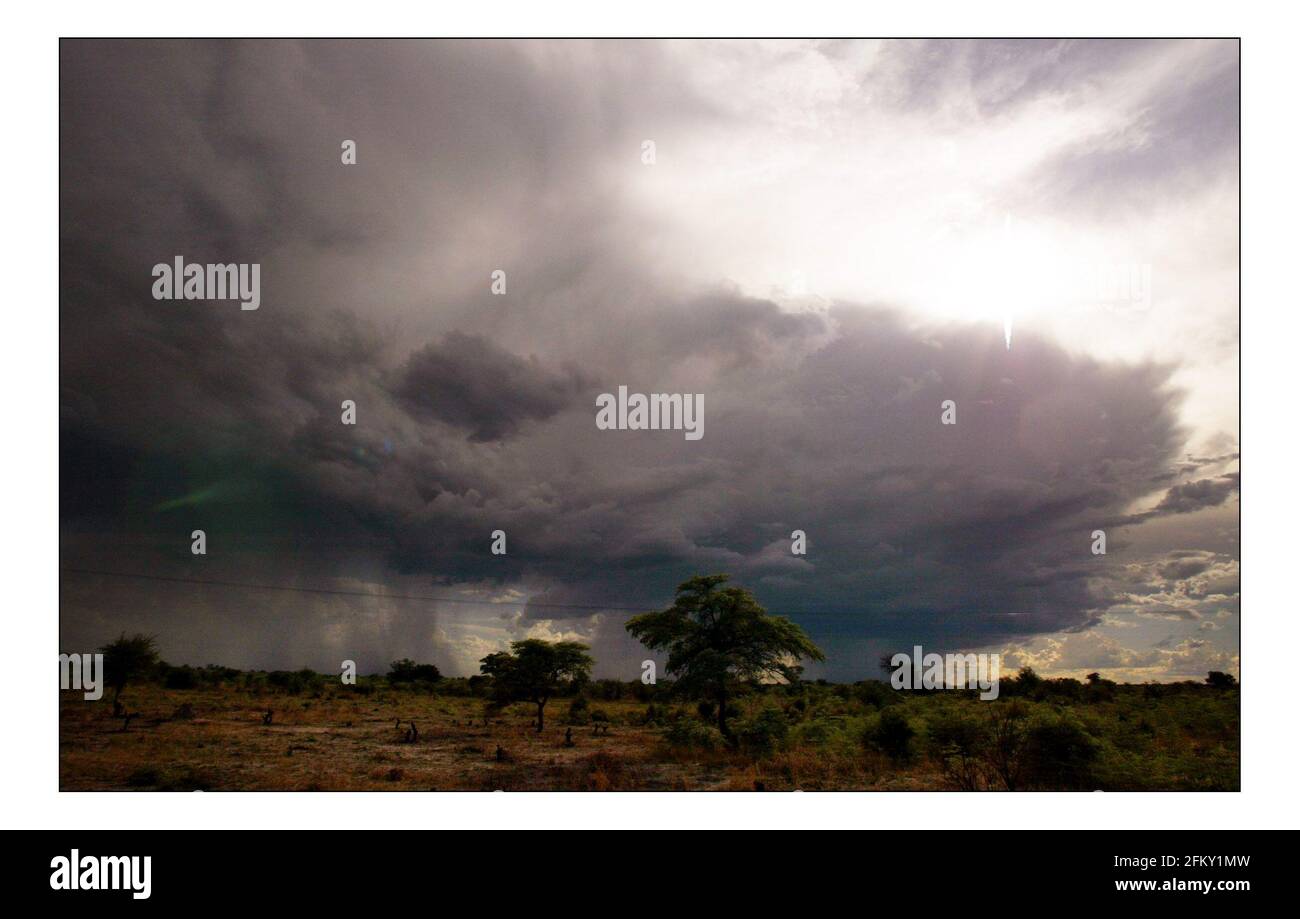 Unabhängiger Weihnachtsappellan...... Integrierte ländliche Entwicklung und Naturschutz (IRDNC) in Namibia.die trockene Wüstenlandschaft Namibias wartet auf die ersten Regenfälle der Saison. Ein klarer, bakeing blauer Himmel wird langsam in ein tiefes dunkelgrau gekocht, während die Wolken in Rollen. Der Regen stürmt und sobald knochentrockene Flüsse zum Leben erwacht. Foto von David Sandison November 2004 Stockfoto