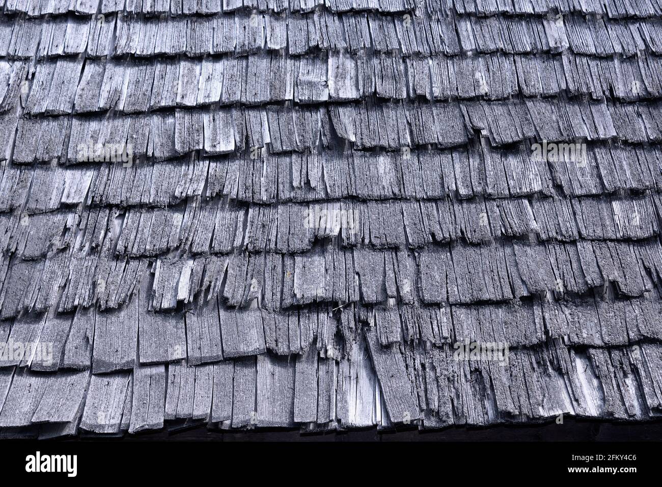 Alte zerbrochene Holzschindelstruktur; beschädigtes traditionelles Dach, das repariert werden muss Stockfoto