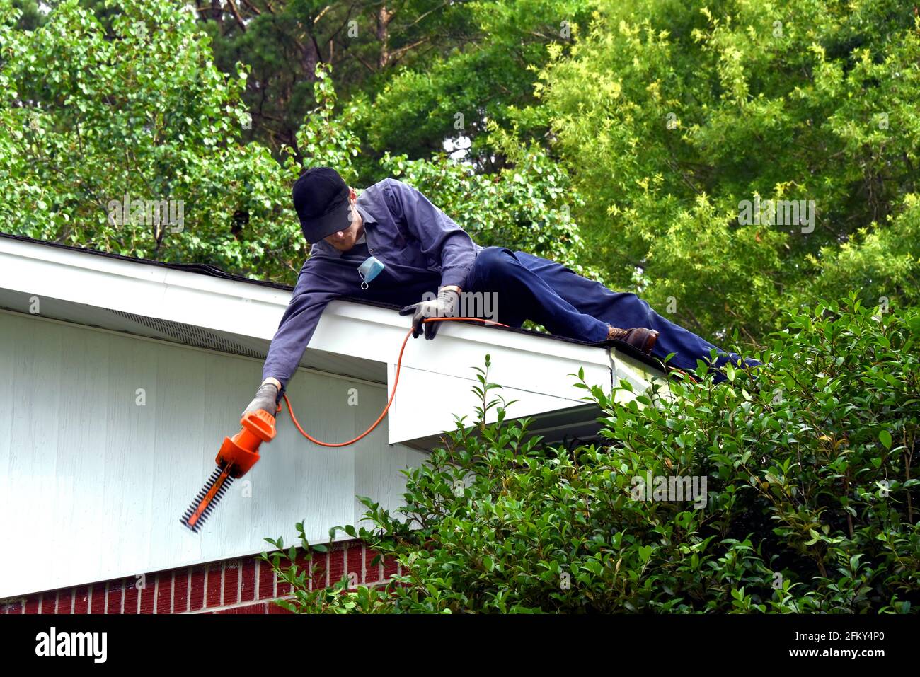 Der junge und schlanke Mann liegt auf einem Dach und lehnt sich an, um neben seinem Haus einen überwucherten Busch zu trimmen. Stockfoto