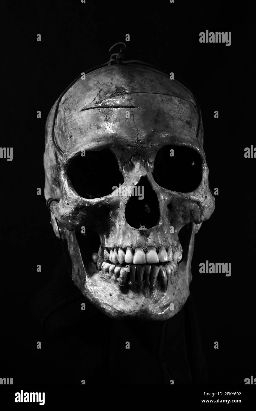 Menschlicher Schädel auf schwarzem Hintergrund Stockfoto