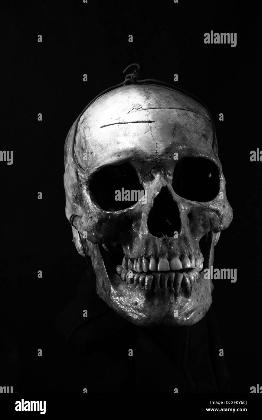 Menschlicher Schädel auf schwarzem Hintergrund Stockfoto