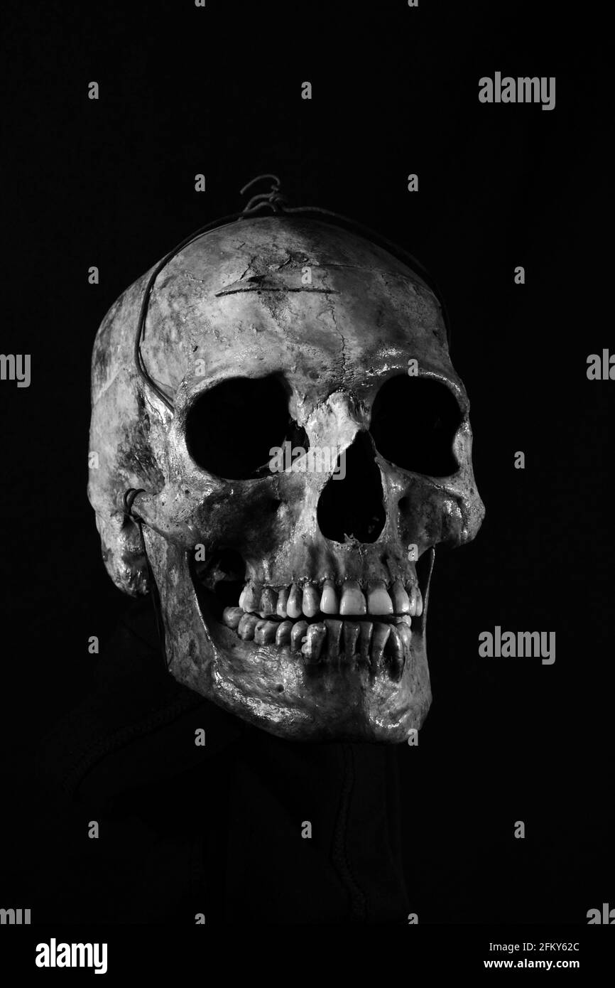 Menschlicher Schädel auf schwarzem Hintergrund Stockfoto