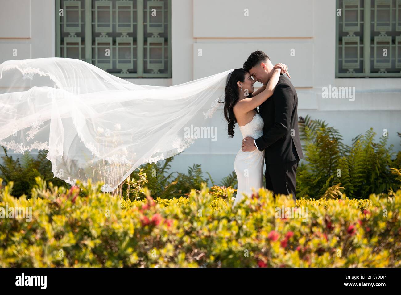 Hochzeitspaar Stockfoto