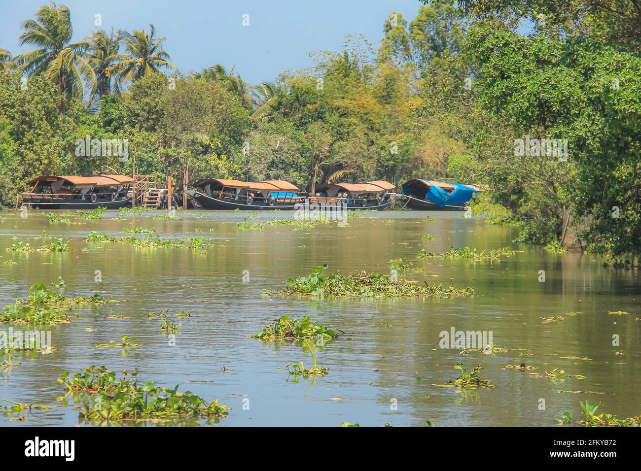 Traditionelle vietnamesische Sampan-Boote und schwimmende Wasserhyazinthe (Pontederia crassipes) auf dem Hau-Fluss des Mekong-Deltas in Can Tho, Vietnam Stockfoto