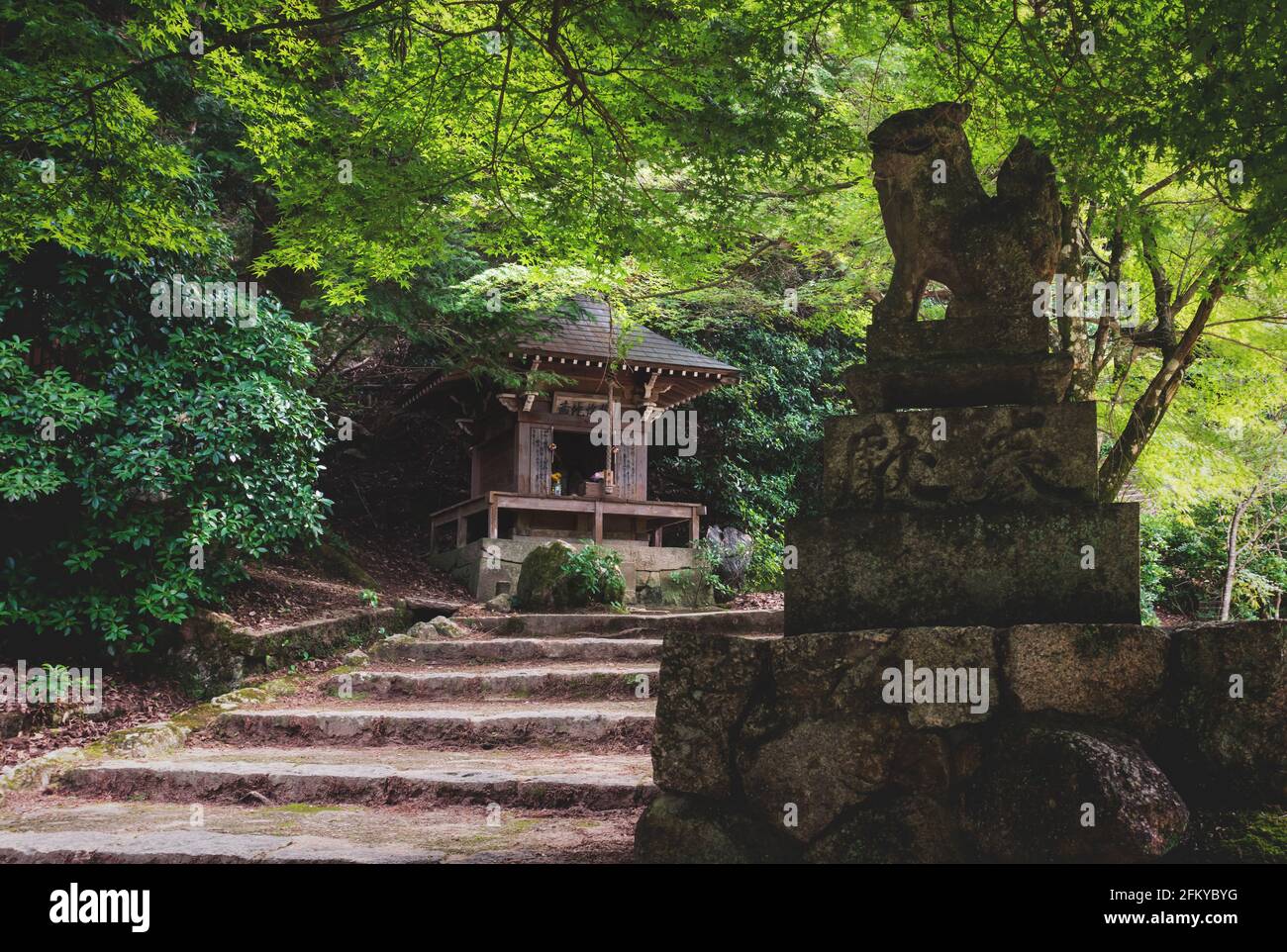 Kleiner Schrein entlang Treppenweg im Waldpark auf dem Berg Mien in Miyajima, Hiroshima, Japan Stockfoto