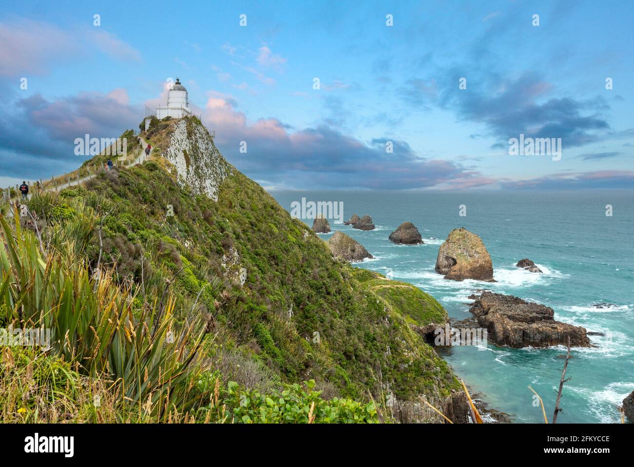 Berühmte Landschaft und Leuchtturm am Nugget Point, Südinsel Neuseelands Stockfoto
