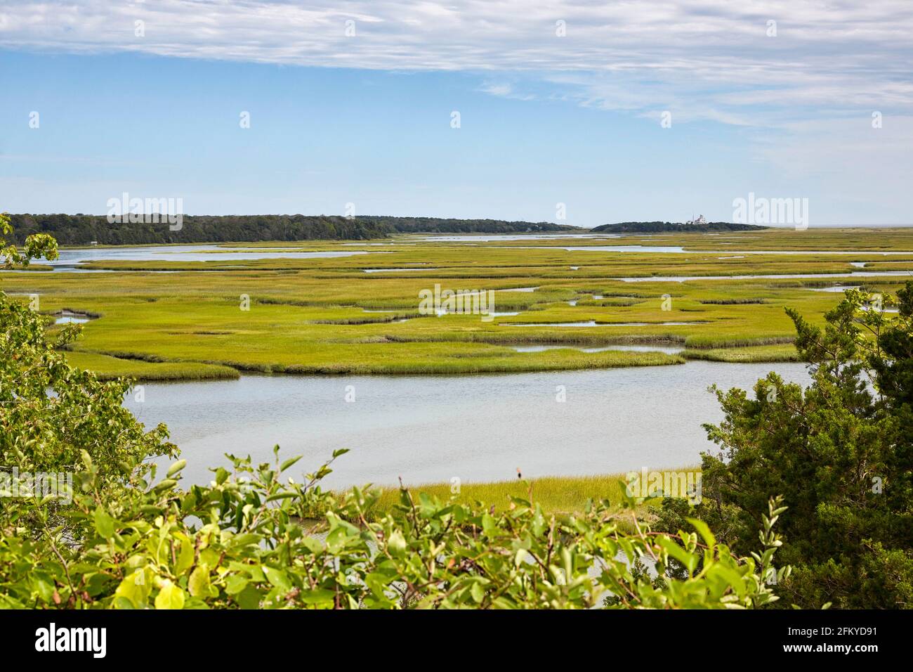 Nauset Marsh in Eastham Cape Cod, Massachusetts, USA Stockfoto