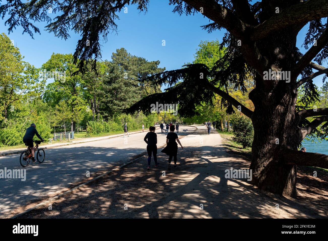 Pariser entspannen am unteren See im Bois de Boulogne - Paris, Frankreich Stockfoto