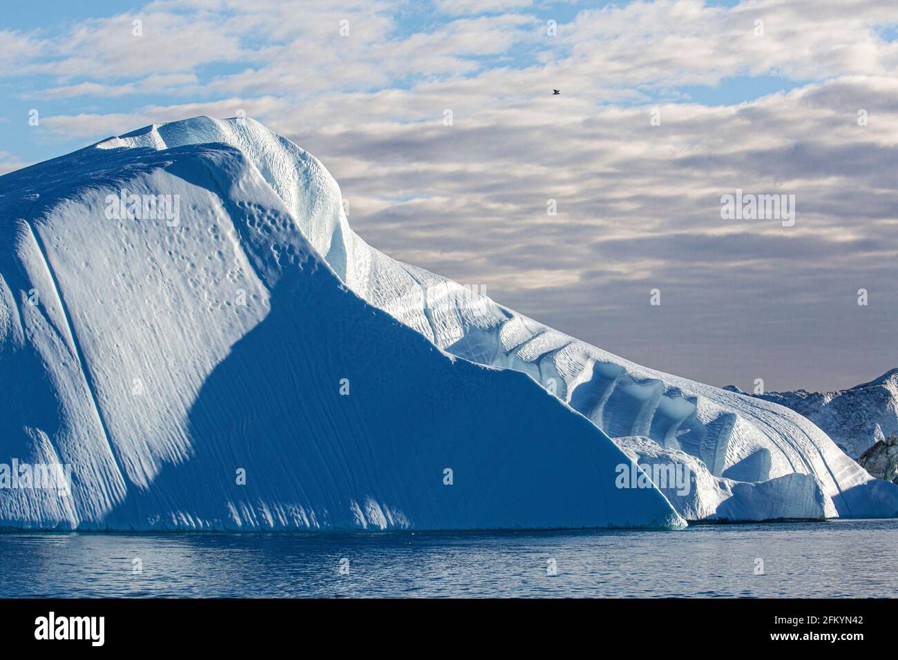 Massive Eisberge kalbten vom Jakobshavn Isbræ-Gletscher, UNESCO-Weltkulturerbe, Ilulissat, Grönland. Stockfoto