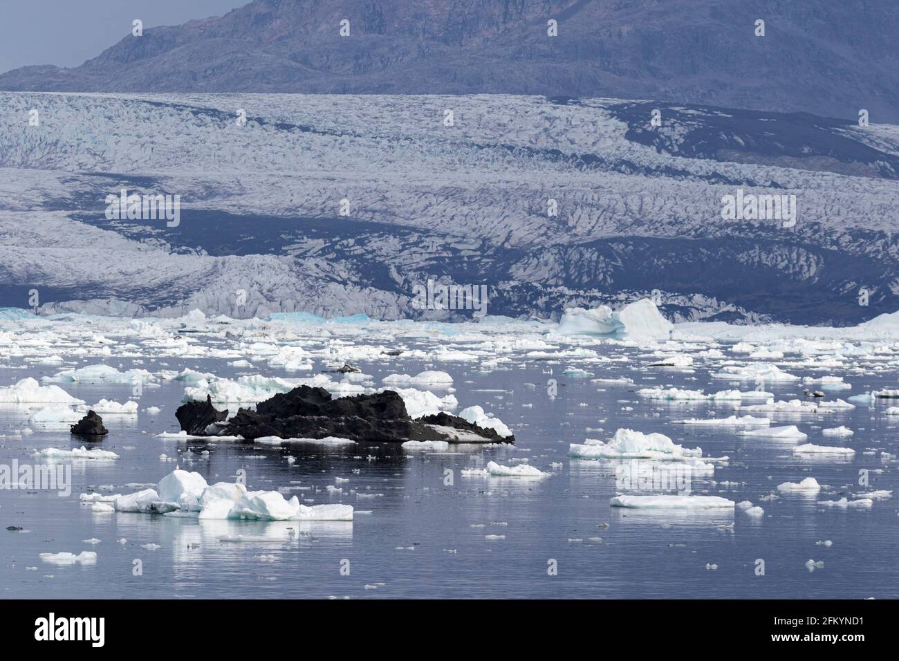 Meereis und Eisberge kalbten vom Christian IV Gletscher, Nansen Fjord, Ostgrönland. Stockfoto