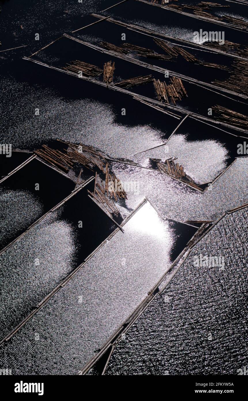 Blockbooms im Ladysmith Harbour, Vancouver Island Luftaufnahmen, British Columbia, Kanada. Stockfoto