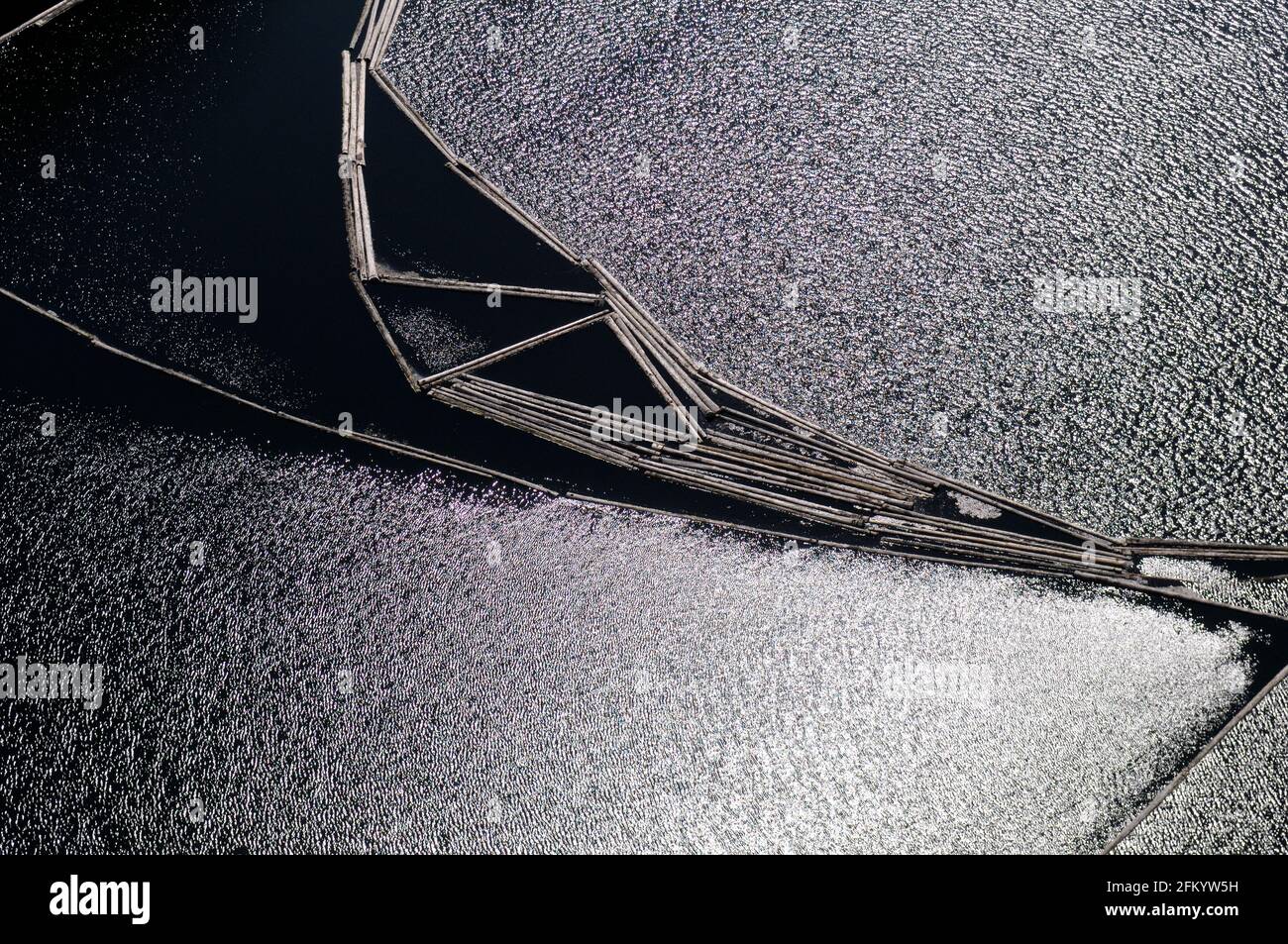 Log Booms, Ladysmith Harbour, Ladysmith, British Columbia, Kanada. Stockfoto