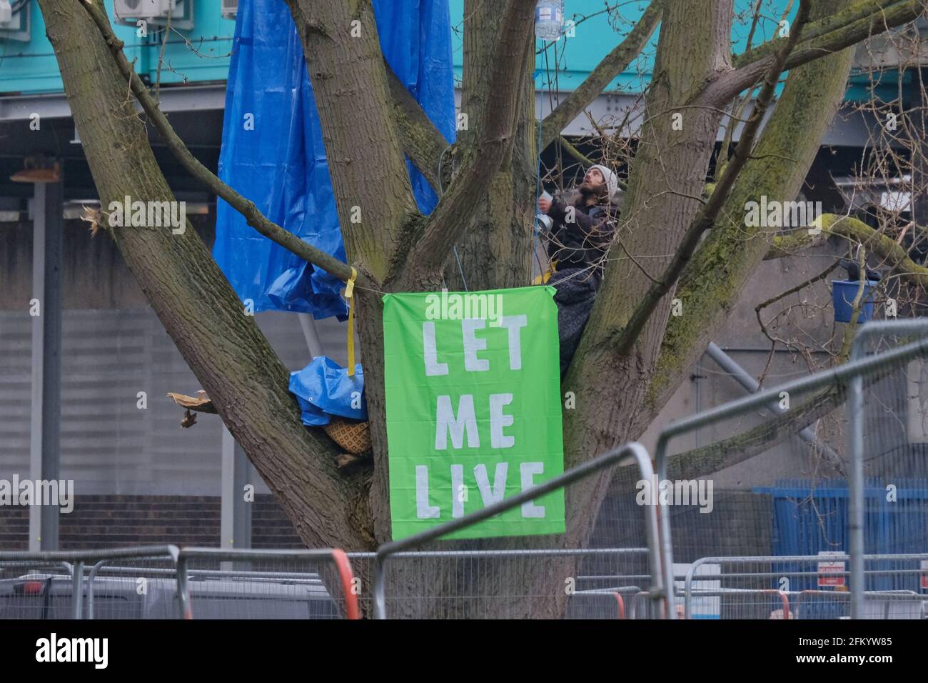 Ein Banner hängt von einem Baum, der von Umweltaktivisten besetzt wurde, nachdem er für die Sanierungsarbeiten in Wandsworth, SW London, abgeschlagen wurde. Stockfoto