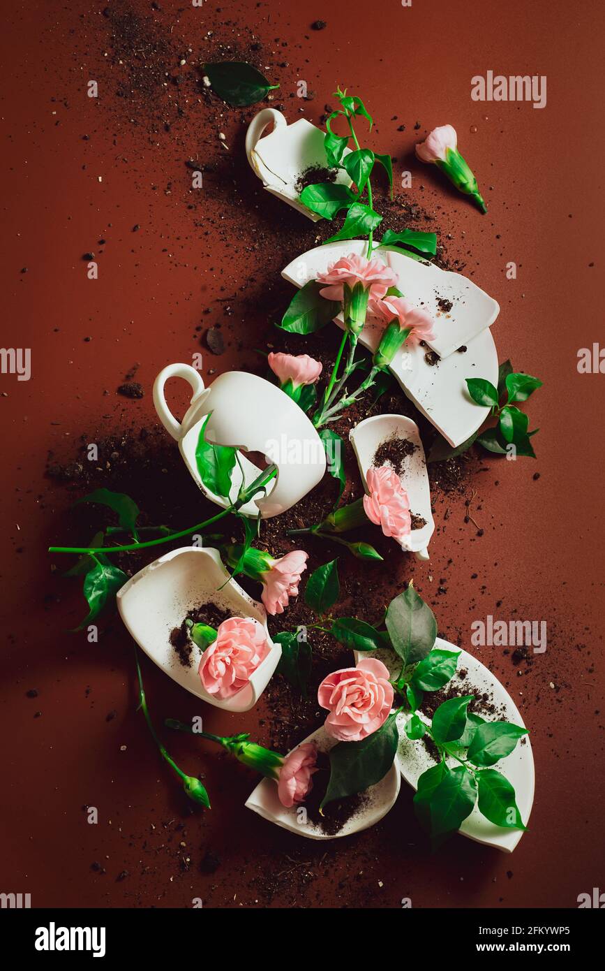 Rosa Blüten von Dianthus mit gebrochenem Porzellan Kaffeetassen und Boden, Dekadenz Gartenarbeit Ästhetik Stockfoto