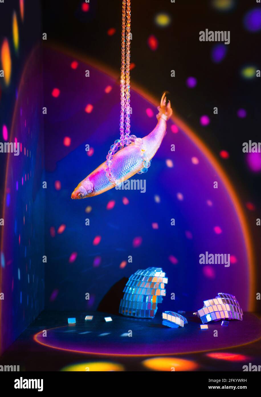 Fisch mit glänzenden Schuppen anstelle einer zerbrochenen Disco-Kugel, roch in der Feier Stillleben, Party-Konzept Stockfoto