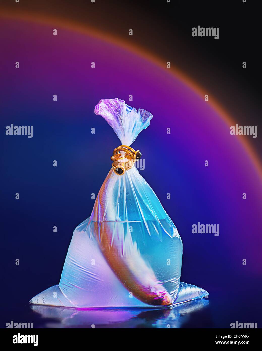 Fisch in einer Plastiktüte mit Schmuck, kreativer Modefotografie, goldenen Ringen, violettem Licht Stockfoto