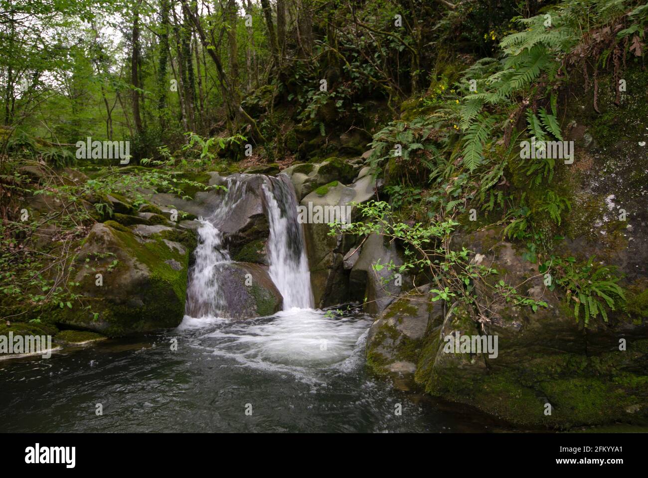 Bach Wasserfall in den Wäldern in der Toskana Land, Italien Stockfoto