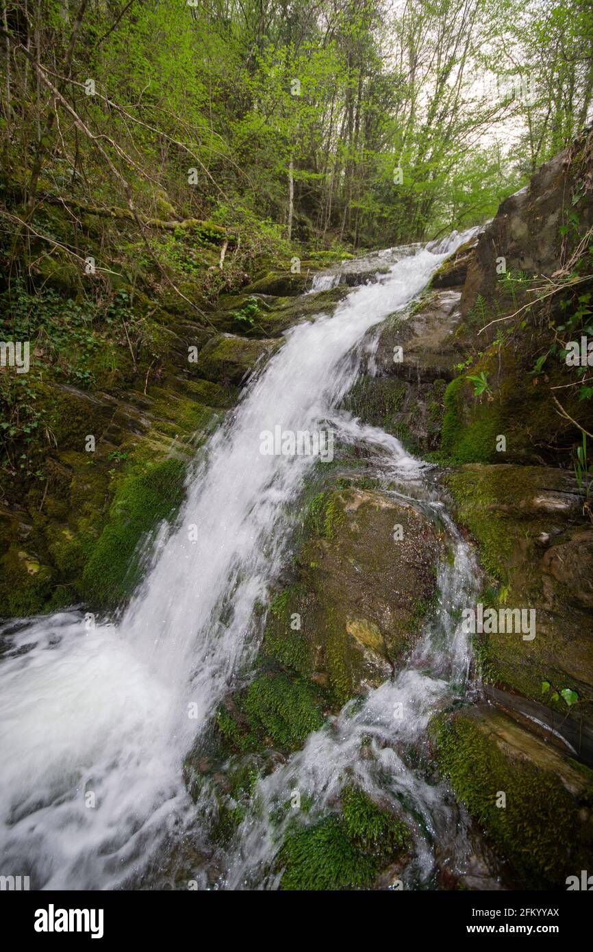 Bach Wasserfall in den Wäldern in der Toskana Land, Italien Stockfoto