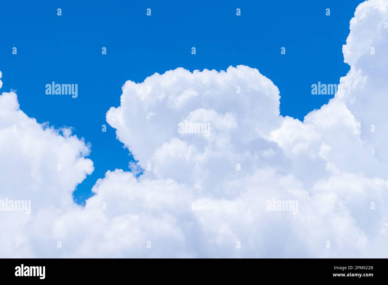 Weiße, flauschige Wolken am blauen Himmel. Weiches Tragegefühl wie Baumwolle. Weiße, geschwollene Wolkenlandschaft. Schönheit in der Natur. Nahaufnahme der Textur der weißen Cumulus-Wolken. Stockfoto