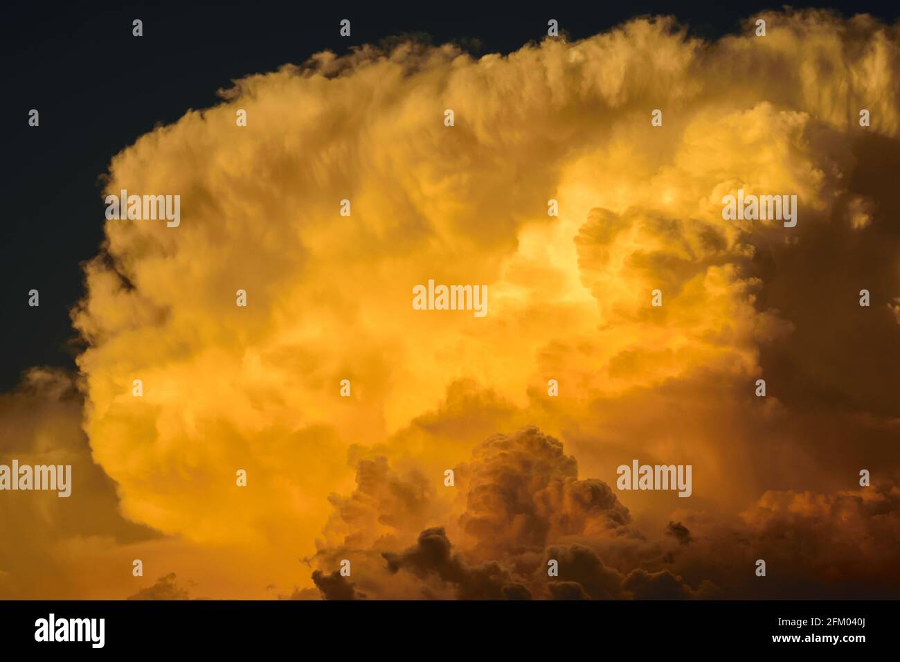 Nahaufnahme eines wachsenden Gewitters bei Sonnenuntergang Stockfoto
