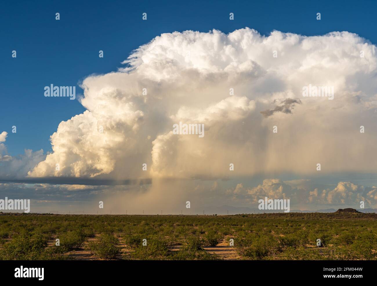 Supercell-Gewitter vor Sonnenuntergang in der Wüste von Arizona Stockfoto
