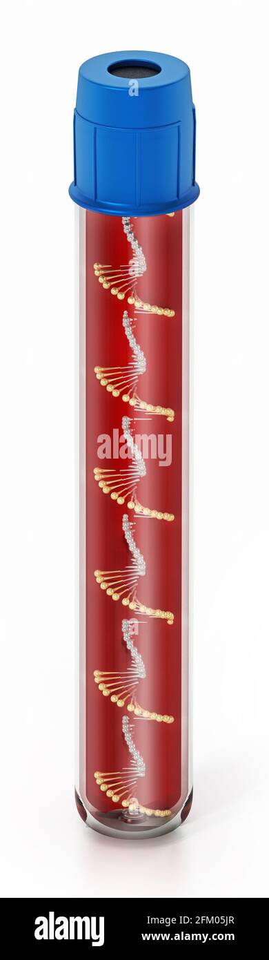 DNA-Helix in der Blutflasche isoliert auf weißem Hintergrund. 3D-Illustration. Stockfoto