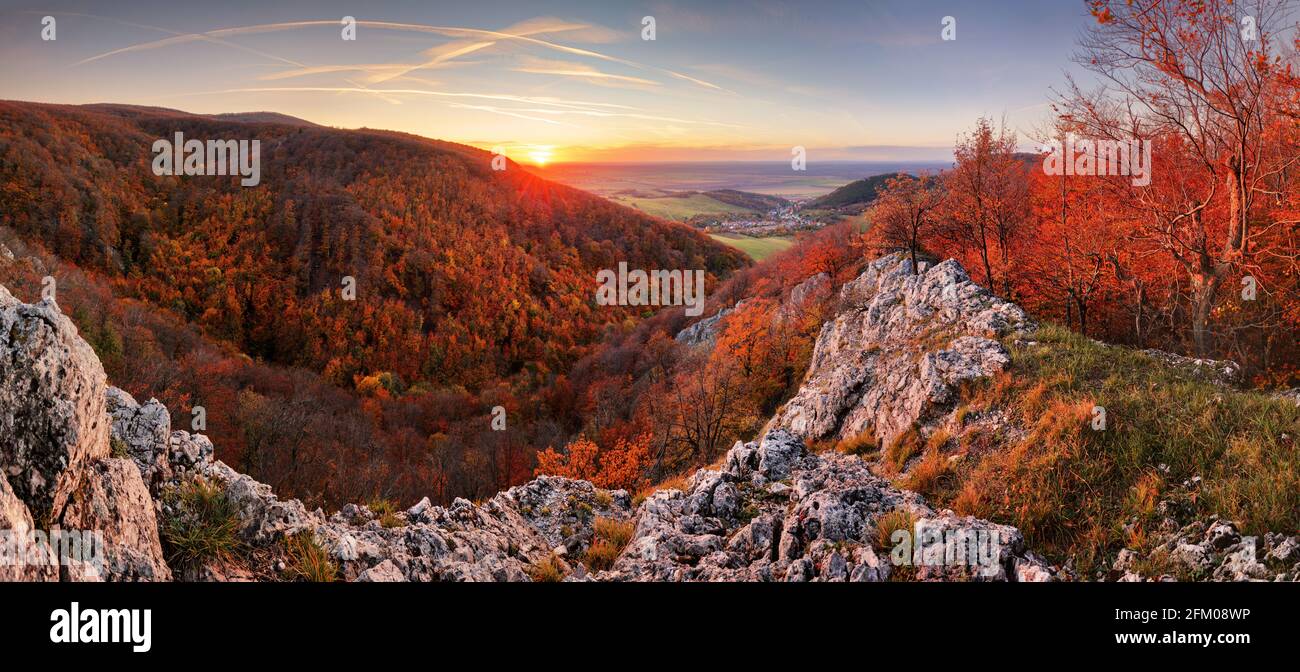 Schöne orange und rot Herbst Wald Berg, viele Bäume auf die orange Hills, Slowakei Stockfoto
