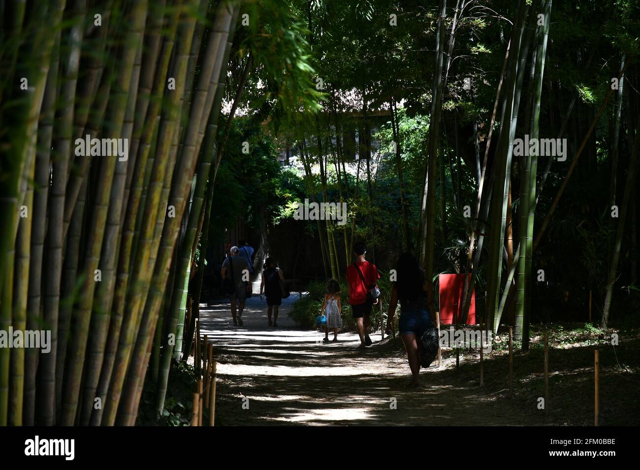 Bambouseraie en cevennes Stockfotos und bilder Kaufen Alamy