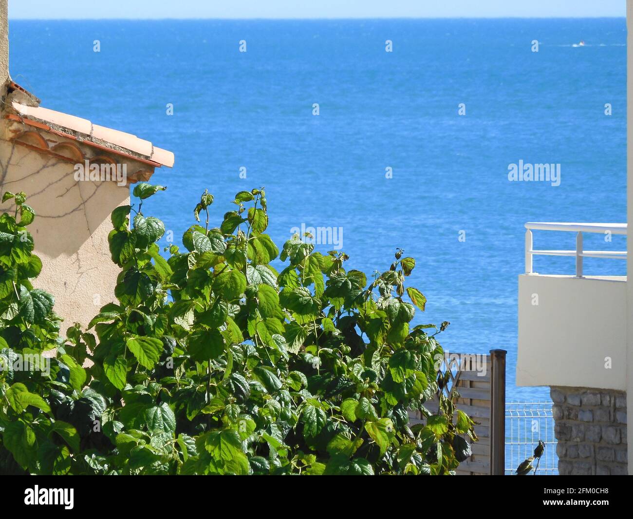 Mittelmeer, Palavas les Flots, Montpellier, Österreich, Südfrankreich Stockfoto