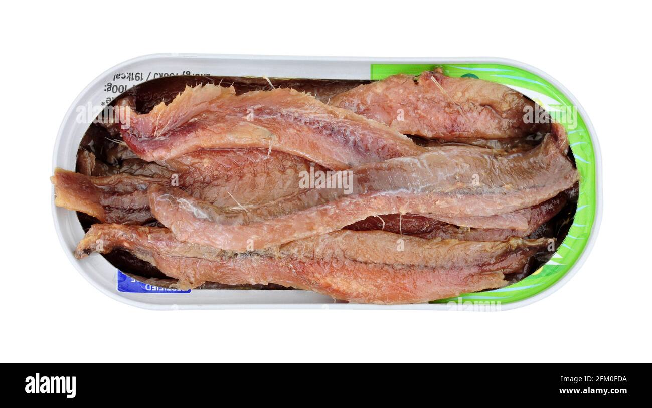 Verzinnte Sardellenfischfilets isoliert auf weißem Hintergrund Stockfoto