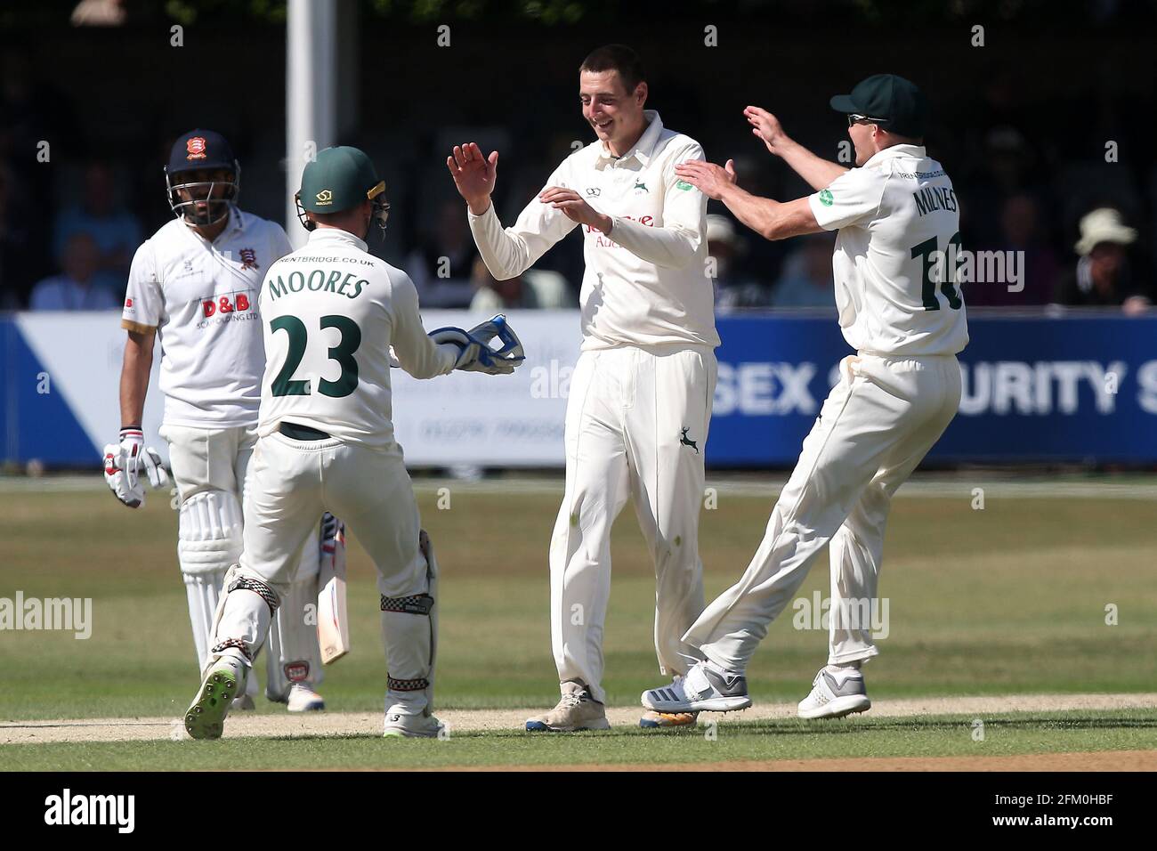 Matthew Carter von Notts feiert die Einnahme des Wickets von Simon Harmer während Essex CCC gegen Nottinghamshire CCC, Specsavers County Championship Division Stockfoto