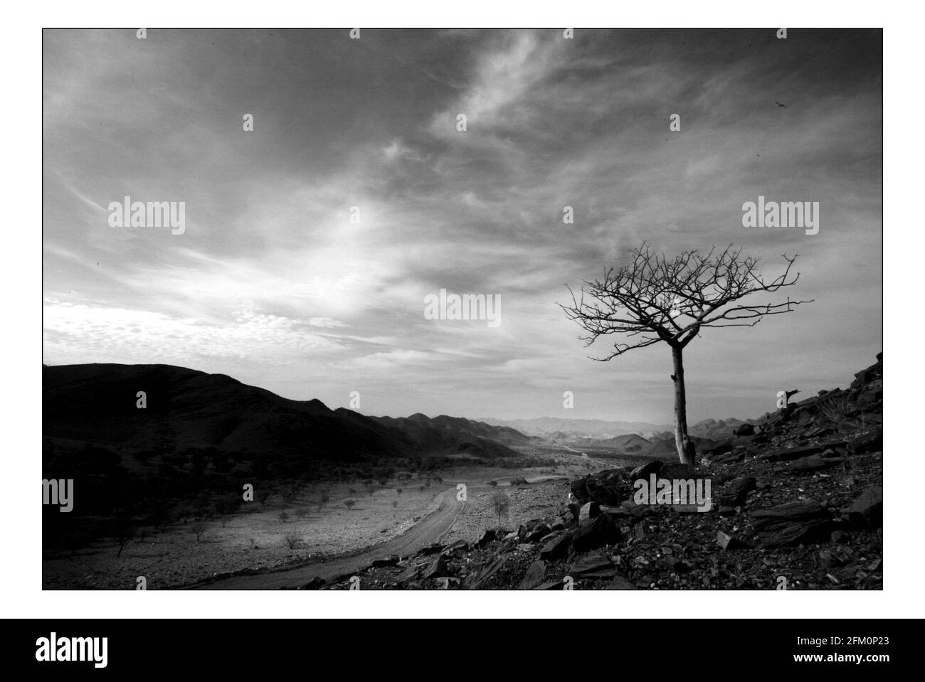 Unabhängiger Weihnachtsappellan...... Integrierte ländliche Entwicklung und Naturschutz (IRDNC) in Namibia.die trockene Wüstenlandschaft Namibias wartet auf die ersten Regenfälle der Saison. Ein klarer, bakeing blauer Himmel wird langsam in ein tiefes dunkelgrau gekocht, während die Wolken in Rollen. Der Regen stürmt und sobald knochentrockene Flüsse zum Leben erwacht. Foto von David Sandison November 2004 Stockfoto