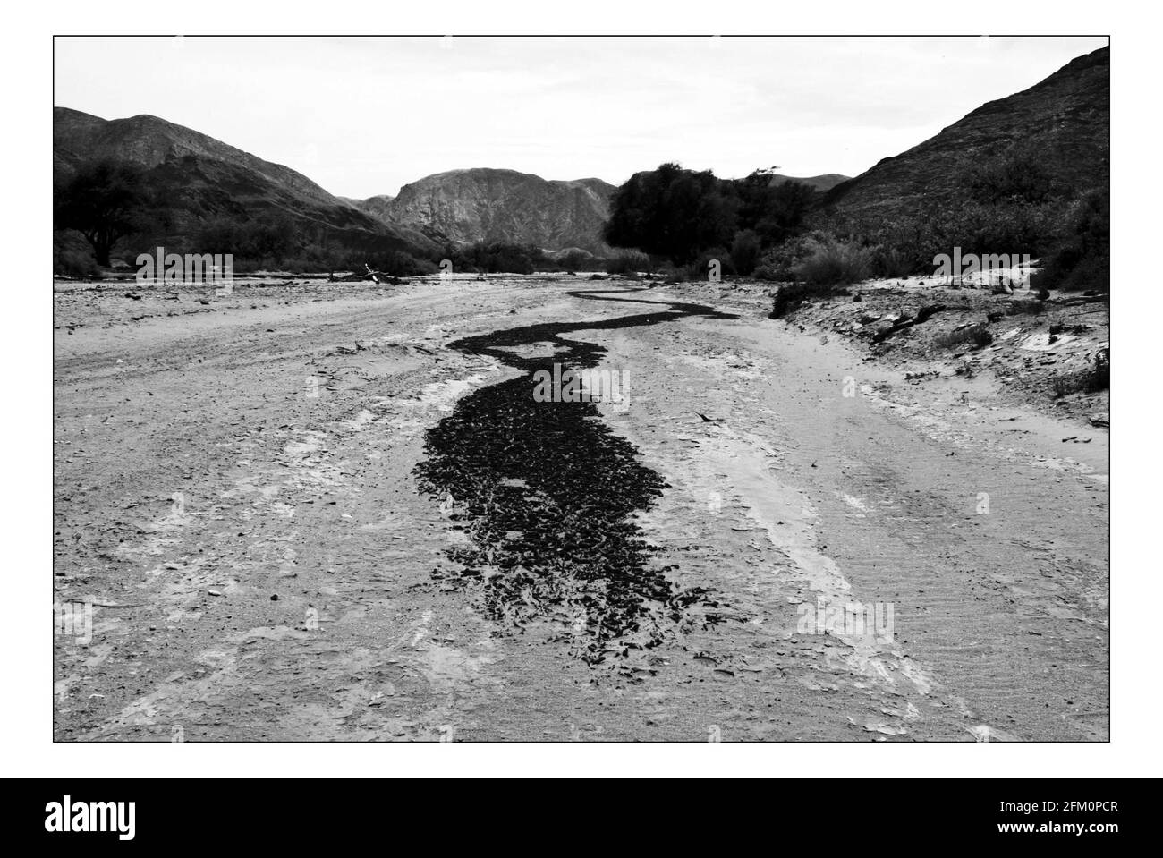 Unabhängiger Weihnachtsappellan...... Integrierte ländliche Entwicklung und Naturschutz (IRDNC) in Namibia.die trockene Wüstenlandschaft Namibias wartet auf die ersten Regenfälle der Saison. Ein klarer, bakeing blauer Himmel wird langsam in ein tiefes dunkelgrau gekocht, während die Wolken in Rollen. Der Regen stürmt und sobald knochentrockene Flüsse zum Leben erwacht. Foto von David Sandison November 2004 Stockfoto