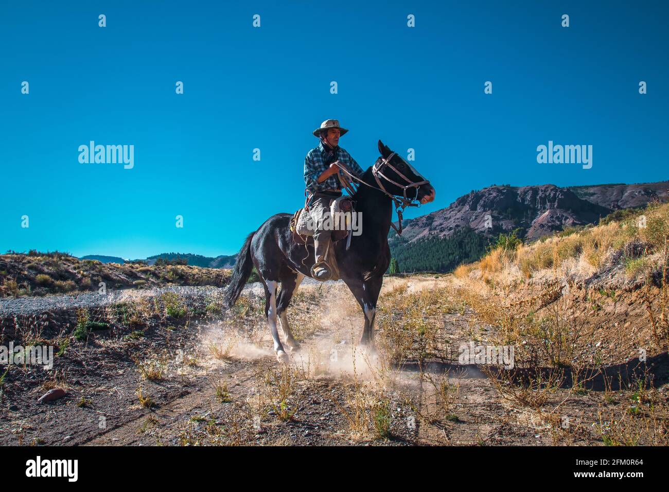 Argentinischer Cowboy oder Gaucho auf einem Pferd in Patagonien Stockfoto