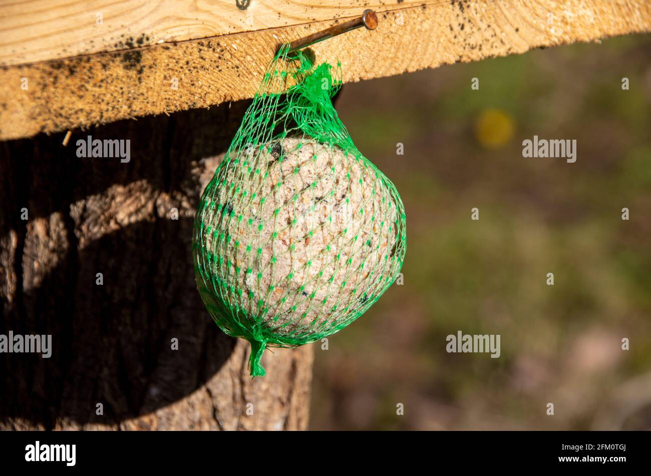 Detaillierte Ansicht eines fetten Ball Winterfutter für wild Vögel Stockfoto