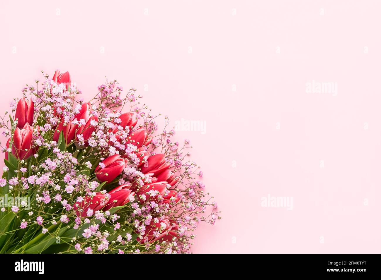 Rosa Tulpen und Gypsophila Blumen Bouquet auf einem rosa Hintergrund, selektive Fokus. Muttertag, Geburtstagsfeier Konzept. Draufsicht, Kopierbereich für Stockfoto