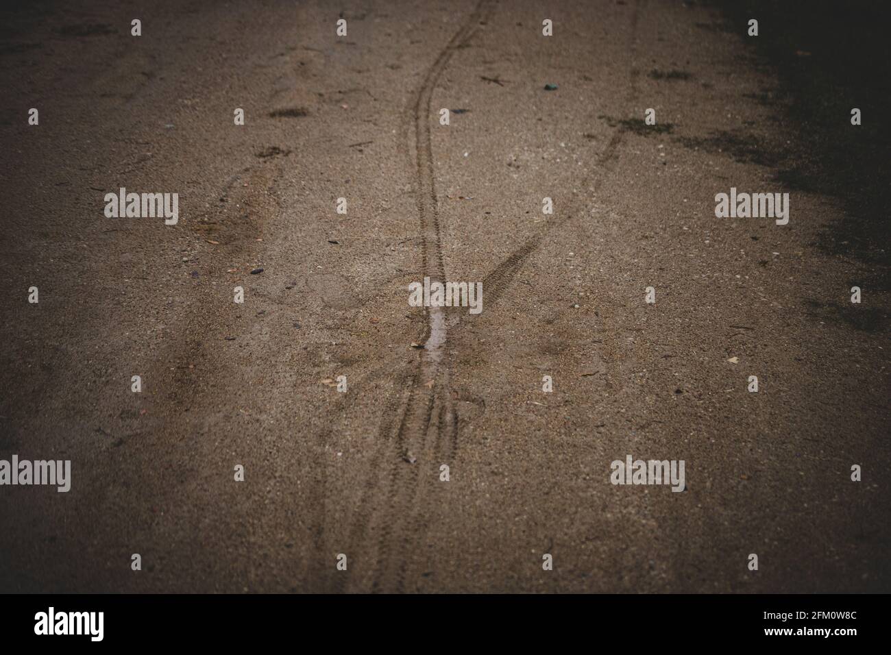Spuren im Sand - Reifen von Fahrrädern und menschlichen Schuhen. Pfütze auf Schotterweg Stockfoto