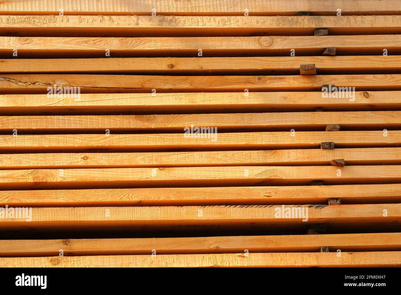 Holzbretter, Futter, Bretter für Bauarbeiten. Holzbretter für den Bau werden im Markt verkauft. Stockfoto