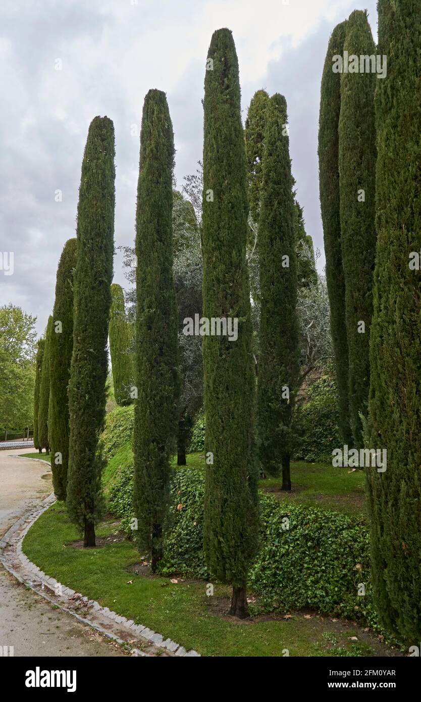 El Parque del Retiro, Madrid, Spanien Stockfoto