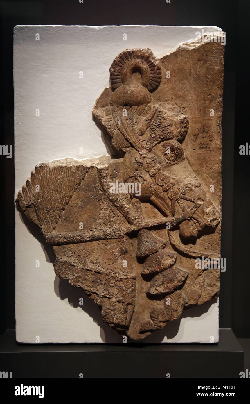 Angezeigt. Pferd. Entlastung. Dur-Sharrukin (Khorsabad). Neo-assyrische Zeit. Ca. 721-705 V. CHR. Gips. British Museum. London. Stockfoto