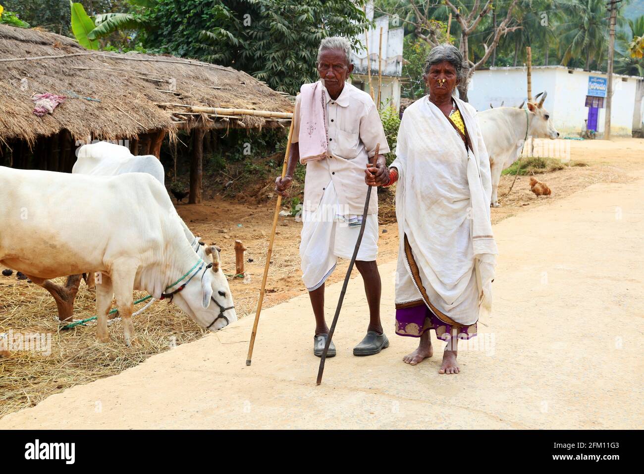 Altes Stammespaar im Dorf Nalraigoda, Andhra Pradesh, Indien. SAVARA-STAMM Stockfoto
