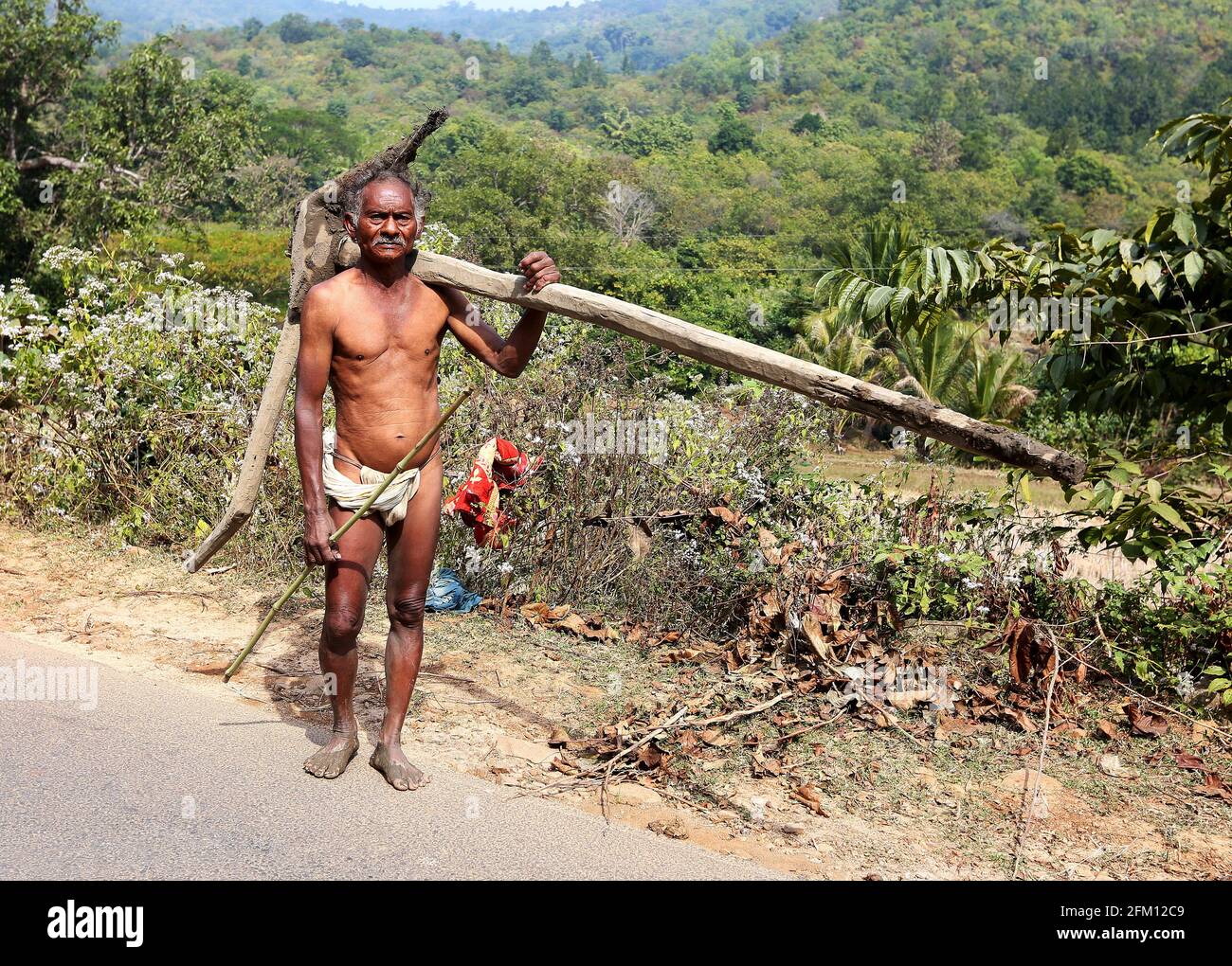 Jatapus Stammes alter Mann trägt sein traditionelles Outfit trägt Holzpflug in Chinapolla Dorf in Seethampeta tehsil, Andhra Pradesh, Indien Stockfoto