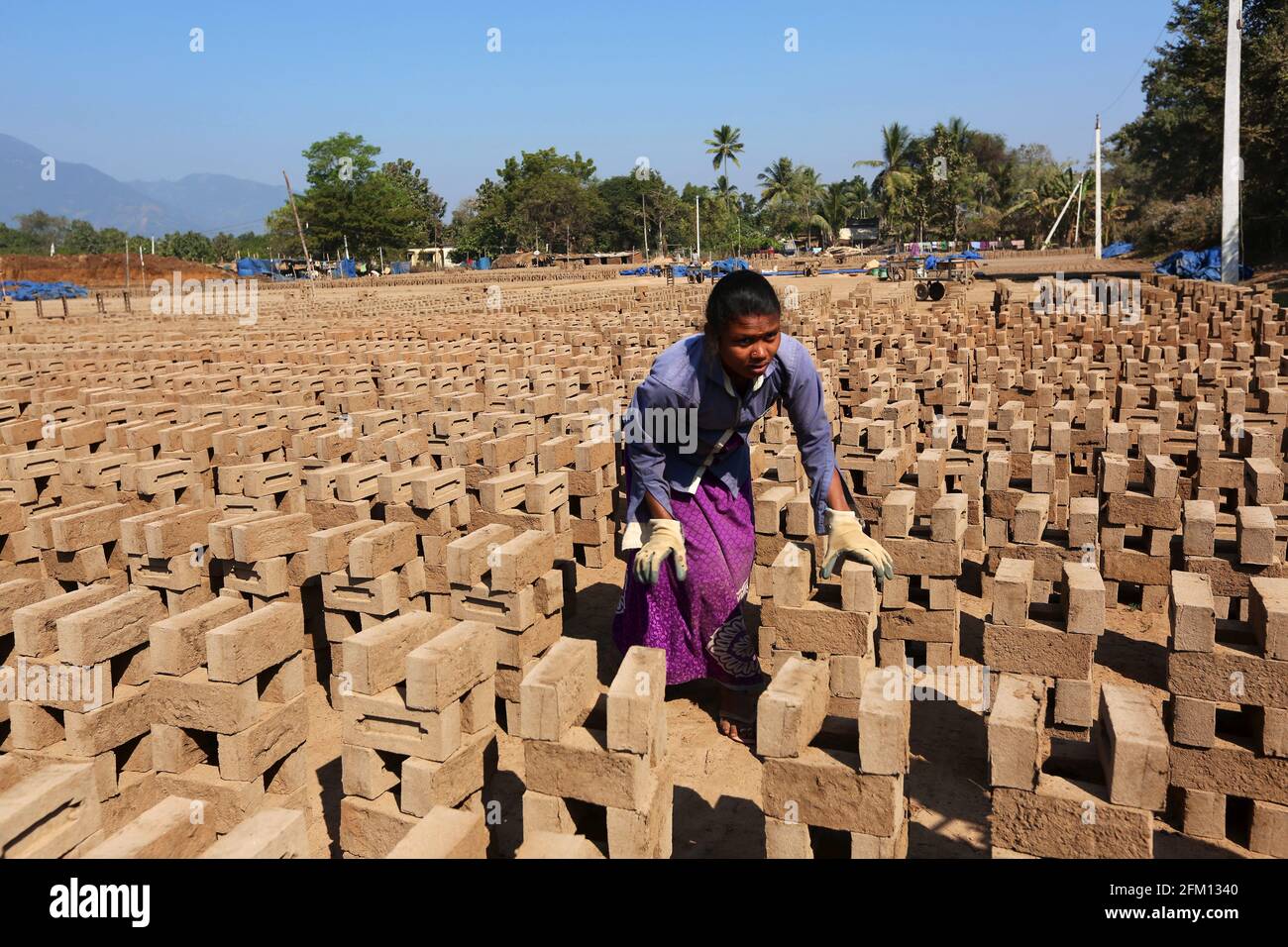 Brick Kiln Savara Tribal Women Workers near Seethampeta Village in Srikakulam District, Andhra Pradesh, India Stockfoto