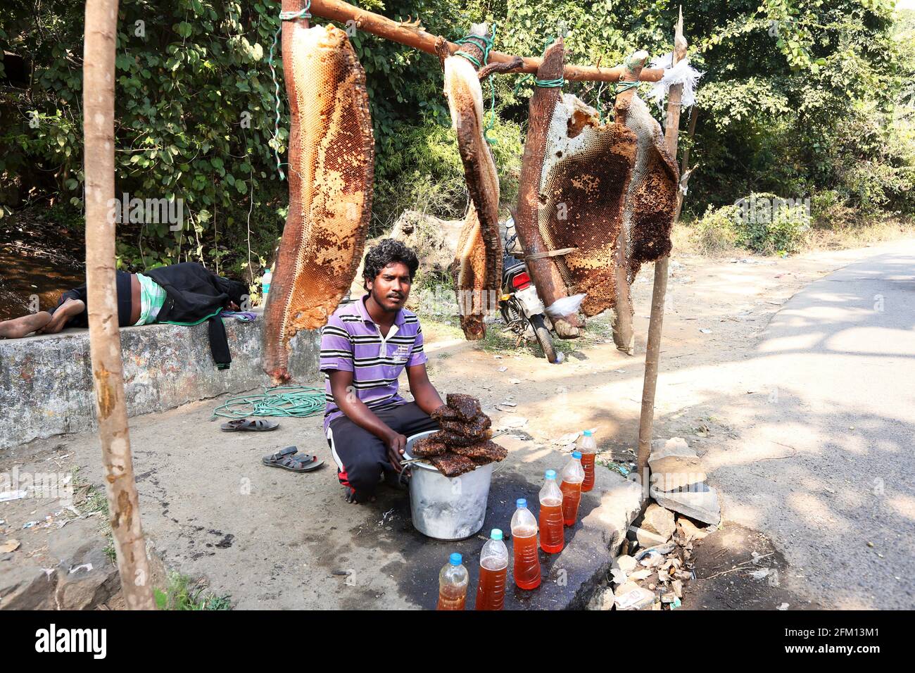 Koya-Stammesmann, der Honig verkauft, sieht man auch auf dem Bild große Honigkämme in Ananthagiri, Paderu Div, Araku, Andhra Pradesh, Indien Stockfoto