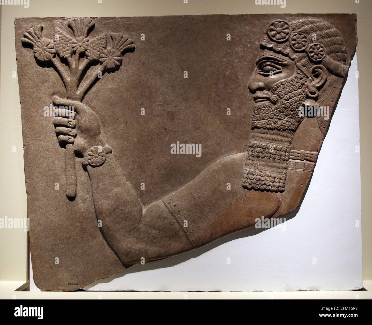 Wandpaneel. Entlastung. Schutzgeist in Erleichterung. Neo-Assyrisch. North West Palace, Nimrud, Irak. 900 V. CHR. Stockfoto